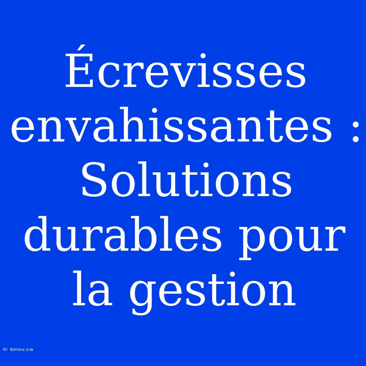 Écrevisses Envahissantes : Solutions Durables Pour La Gestion