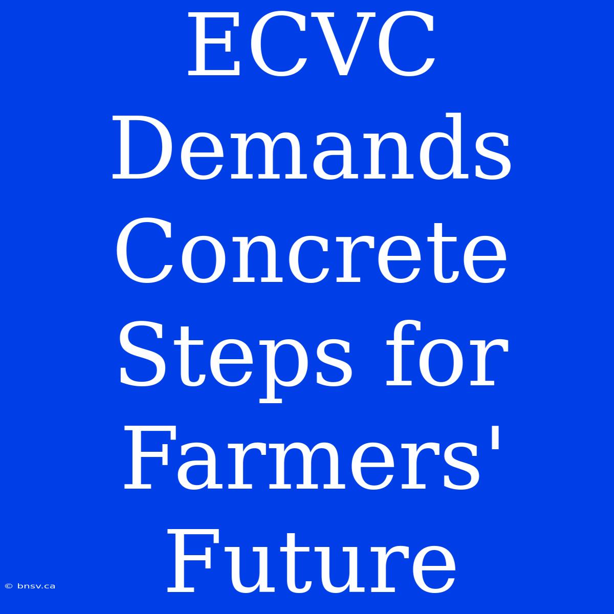 ECVC Demands Concrete Steps For Farmers' Future