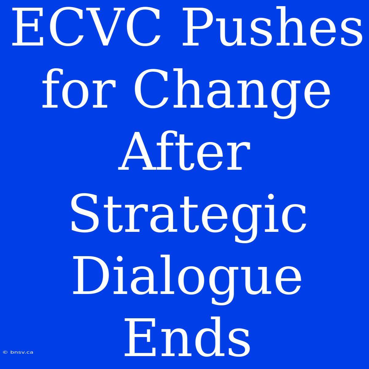 ECVC Pushes For Change After Strategic Dialogue Ends