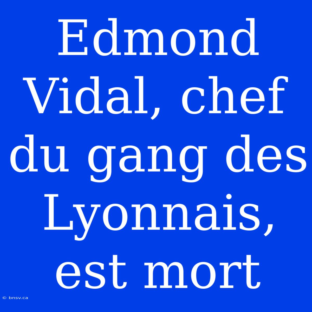 Edmond Vidal, Chef Du Gang Des Lyonnais, Est Mort