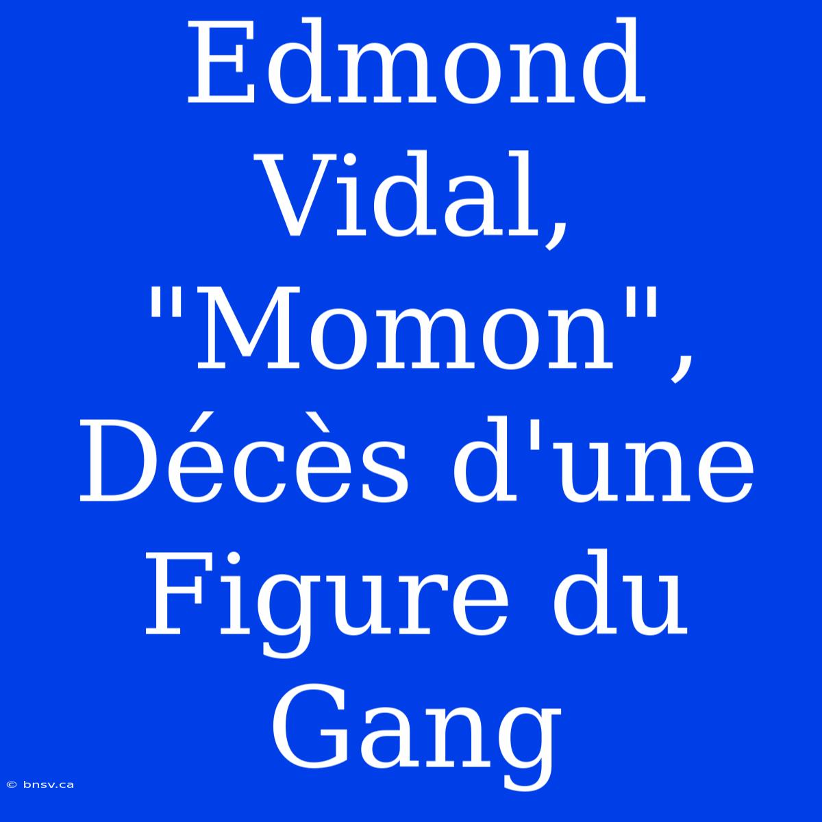 Edmond Vidal, 