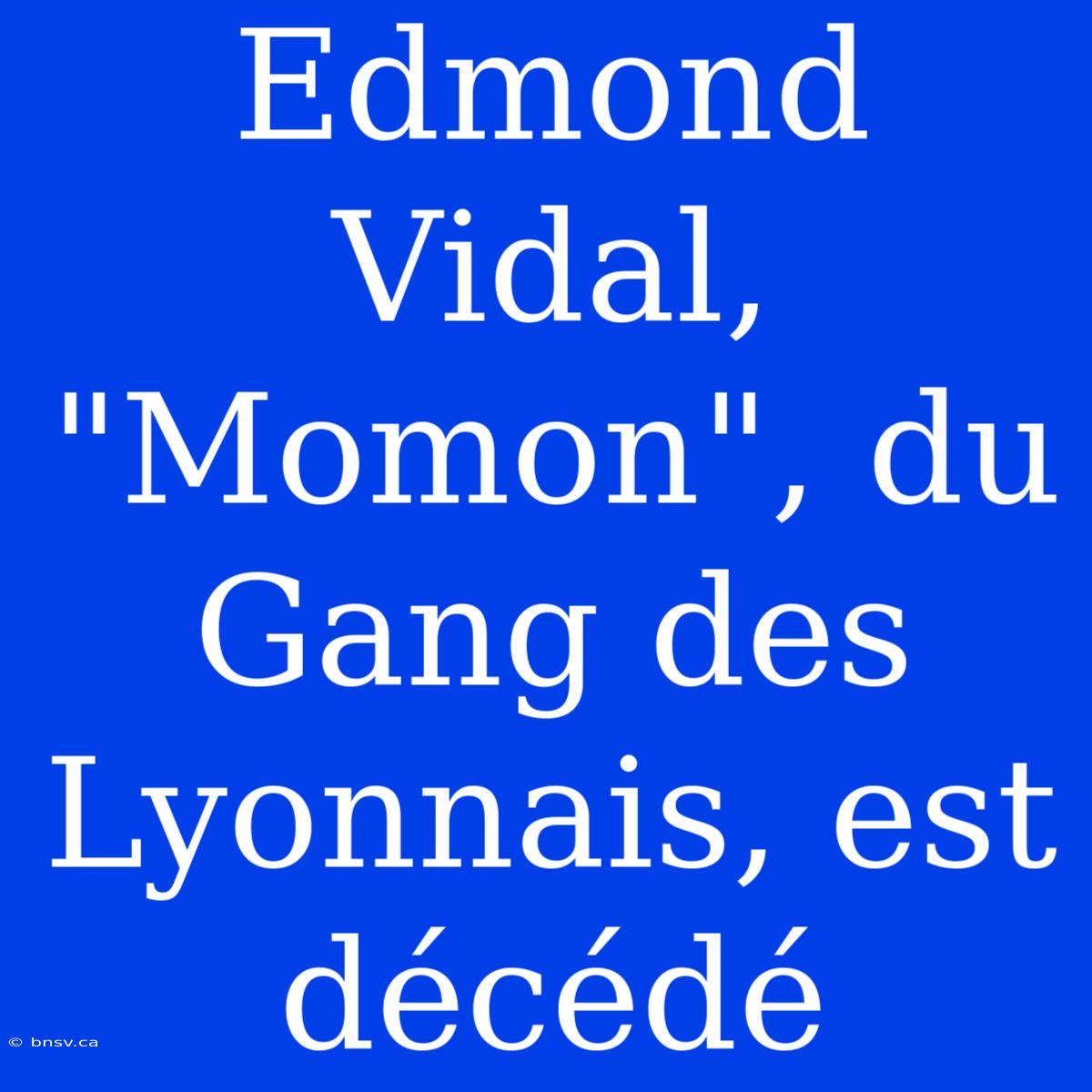 Edmond Vidal, 