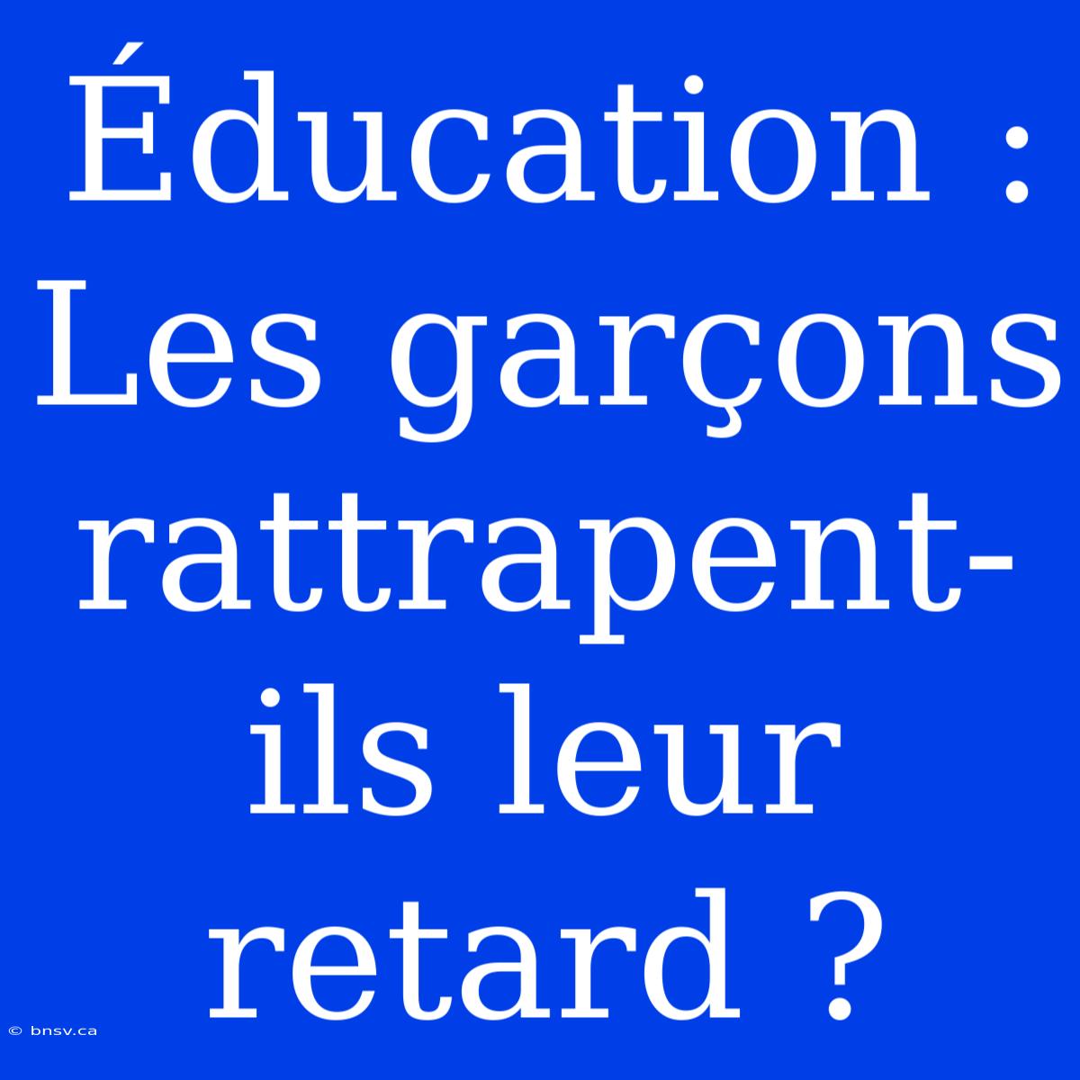 Éducation : Les Garçons Rattrapent-ils Leur Retard ?