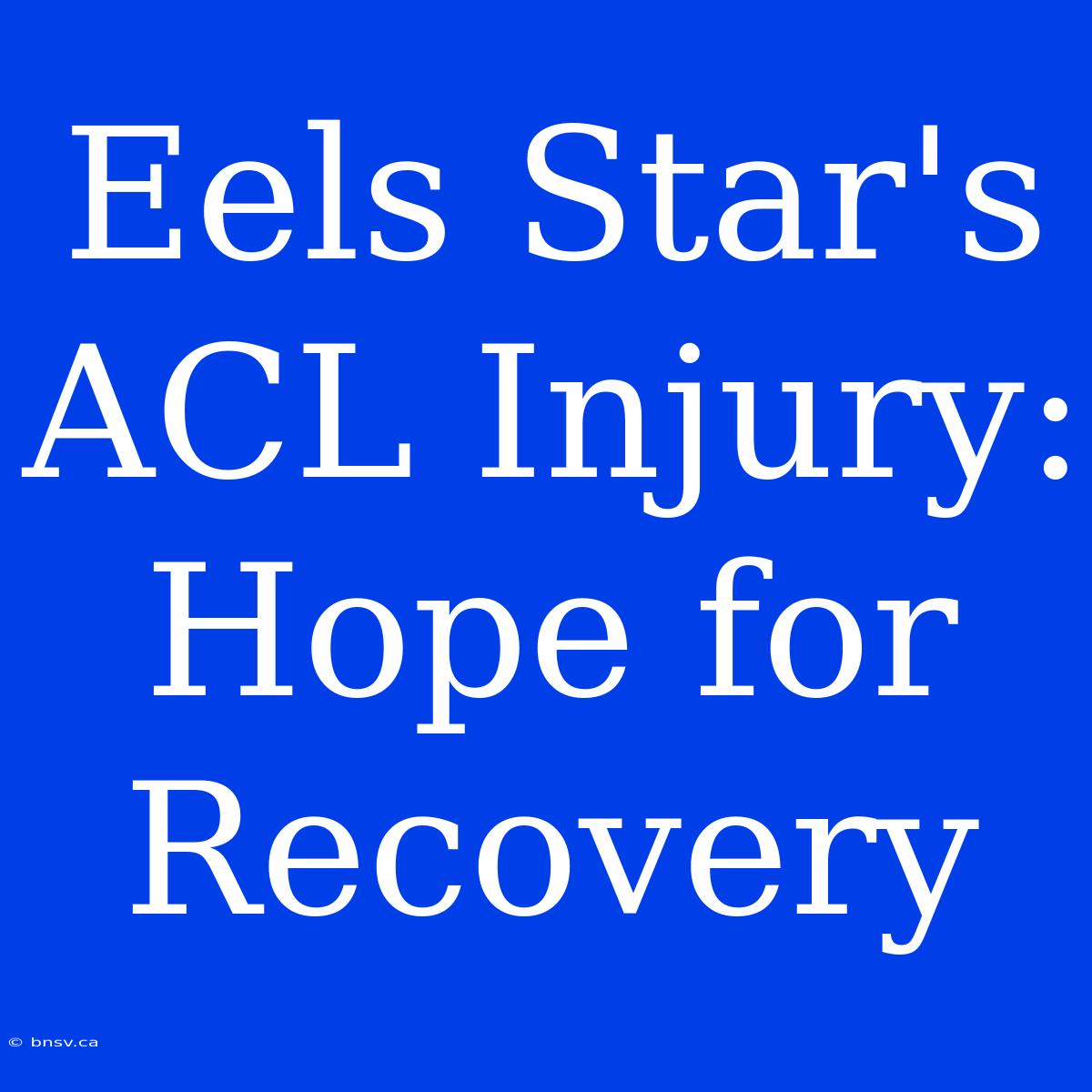 Eels Star's ACL Injury: Hope For Recovery