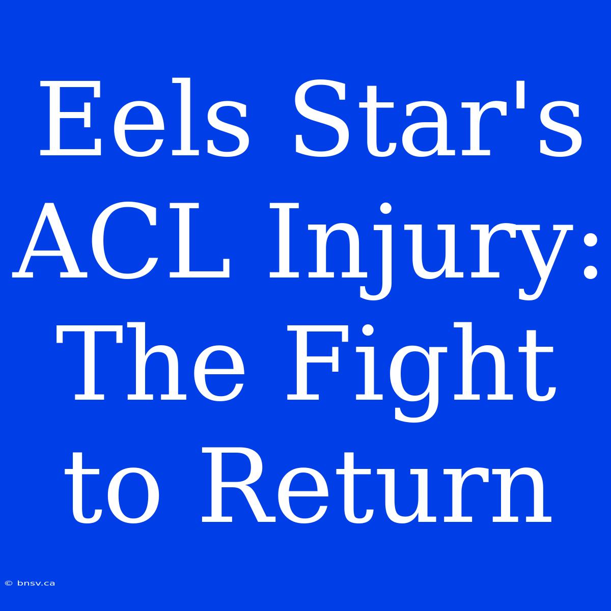 Eels Star's ACL Injury: The Fight To Return