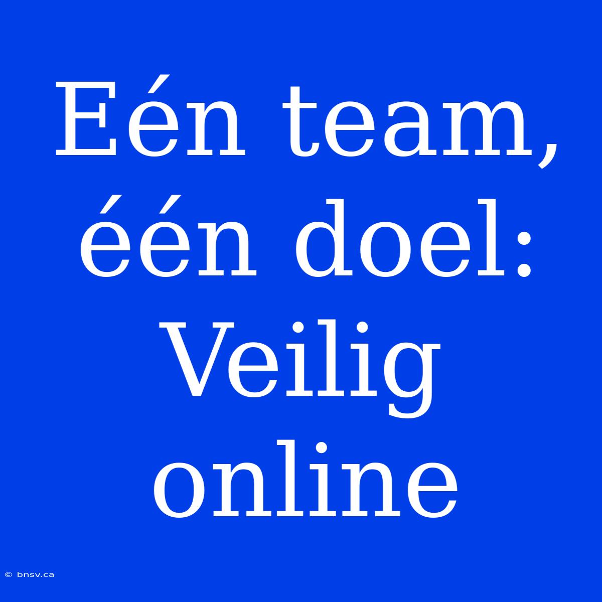 Eén Team, Één Doel: Veilig Online