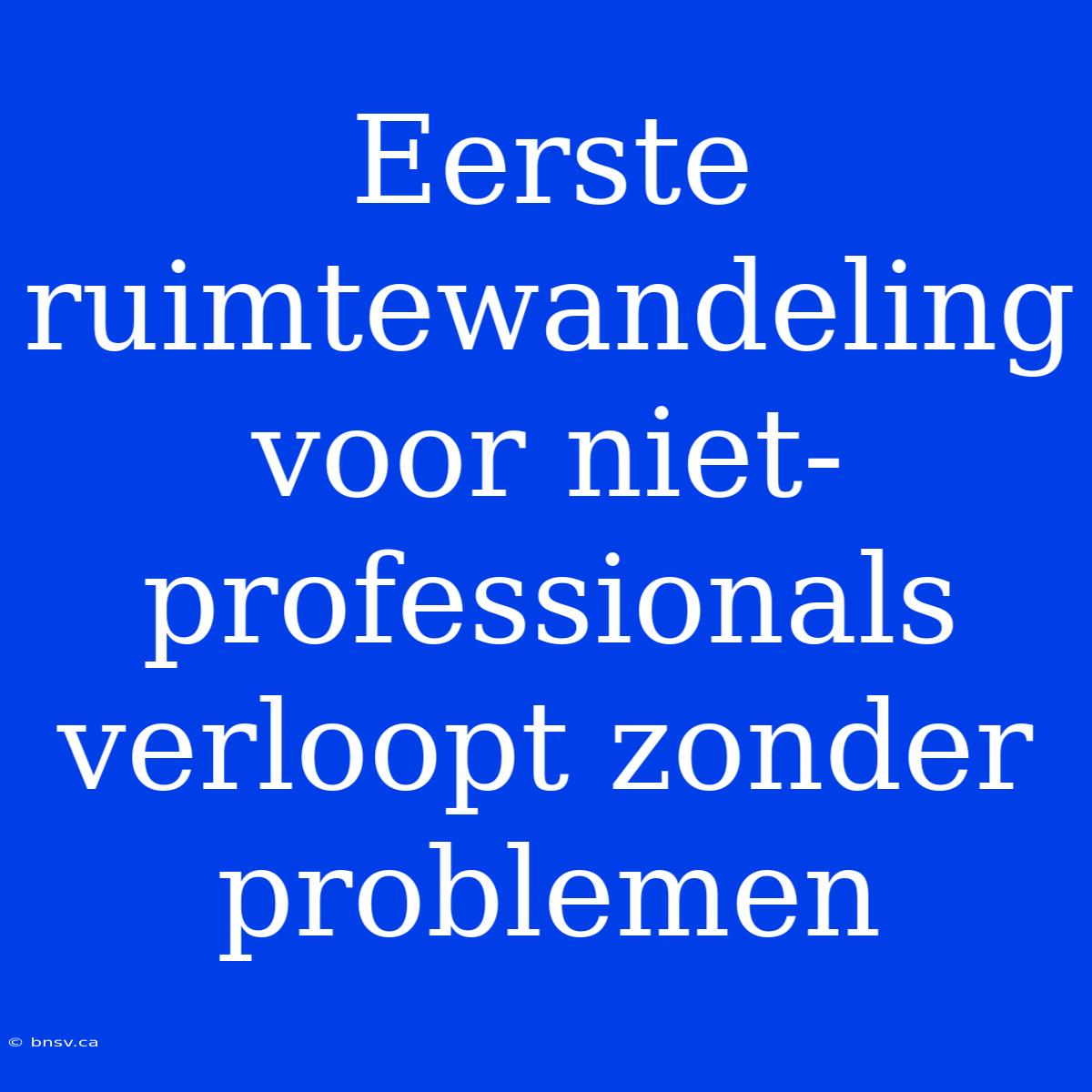 Eerste Ruimtewandeling Voor Niet-professionals Verloopt Zonder Problemen