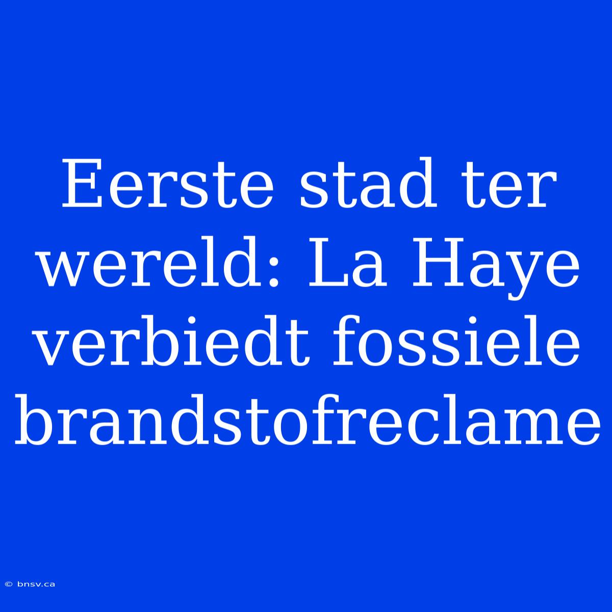 Eerste Stad Ter Wereld: La Haye Verbiedt Fossiele Brandstofreclame