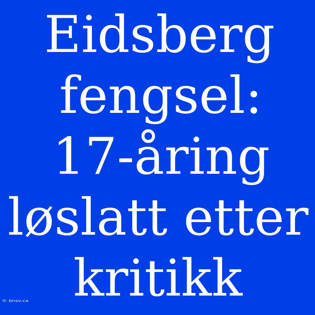 Eidsberg Fengsel: 17-åring Løslatt Etter Kritikk