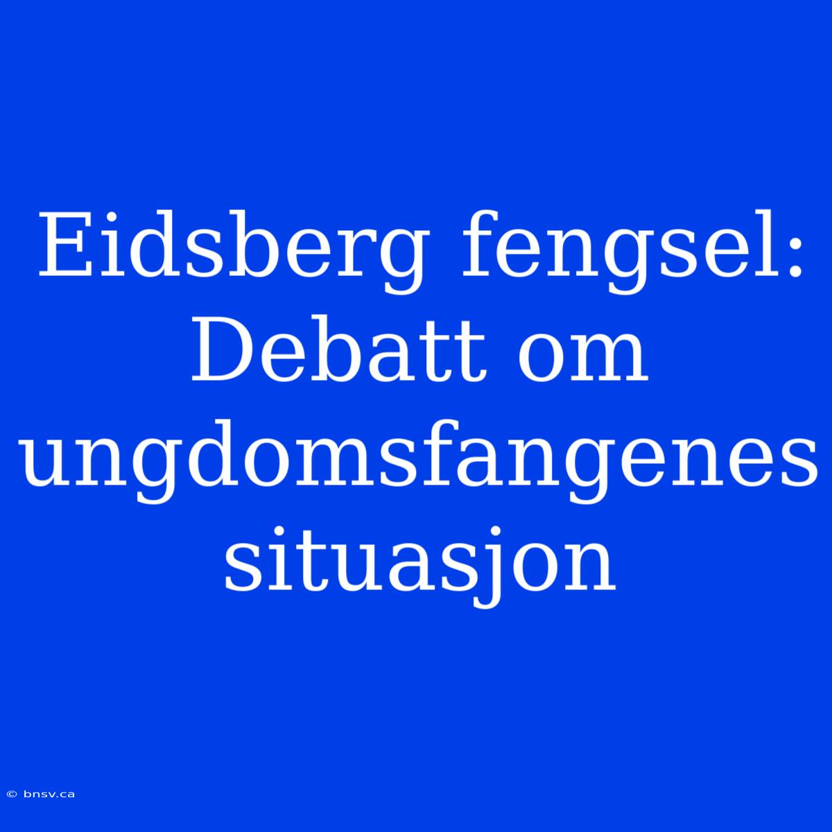 Eidsberg Fengsel: Debatt Om Ungdomsfangenes Situasjon