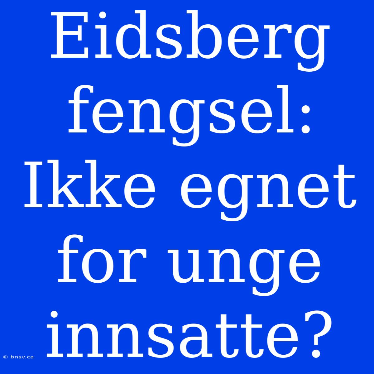 Eidsberg Fengsel: Ikke Egnet For Unge Innsatte?