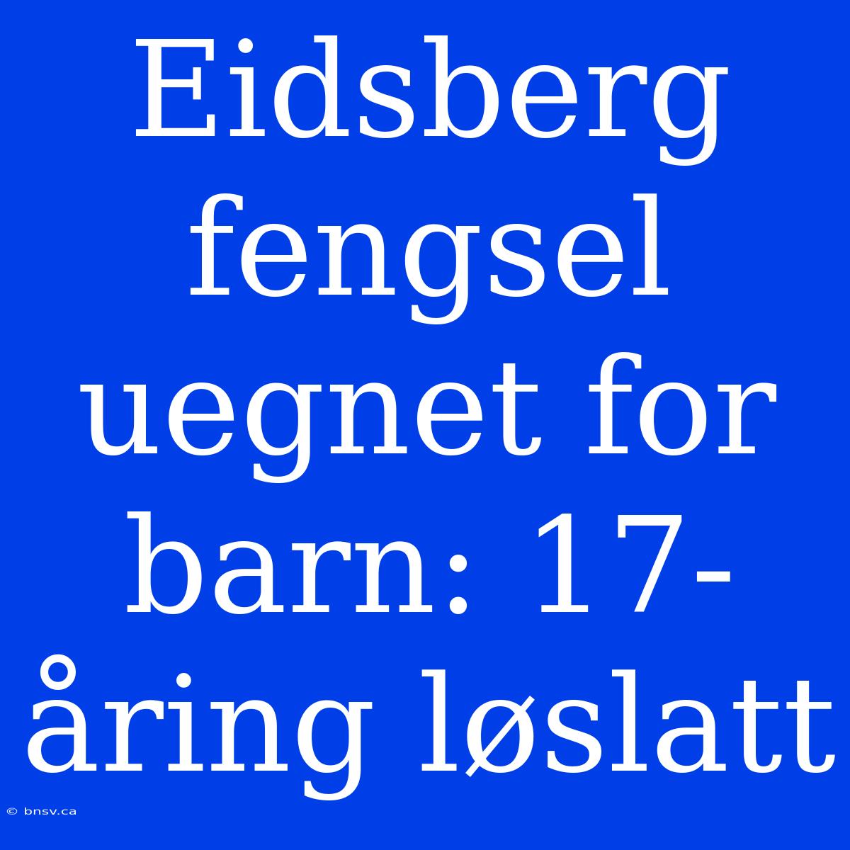 Eidsberg Fengsel Uegnet For Barn: 17-åring Løslatt