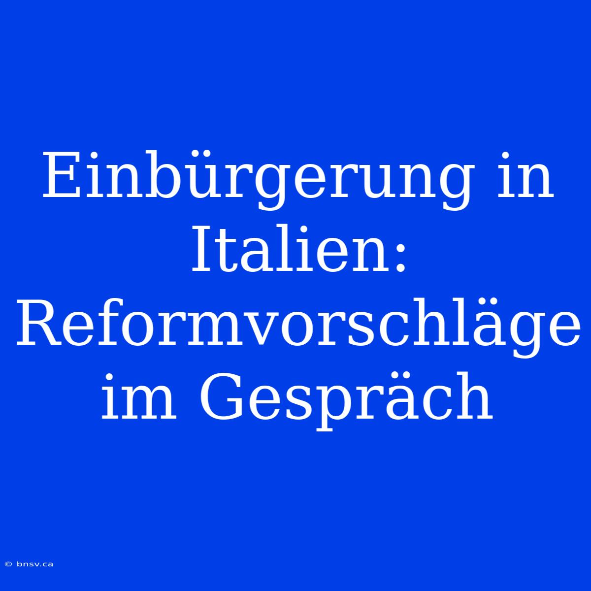 Einbürgerung In Italien: Reformvorschläge Im Gespräch