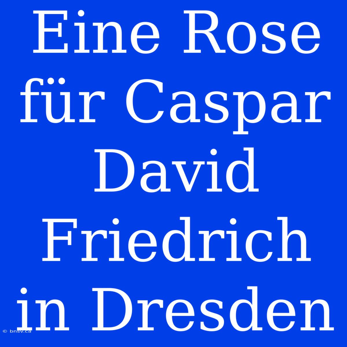 Eine Rose Für Caspar David Friedrich In Dresden