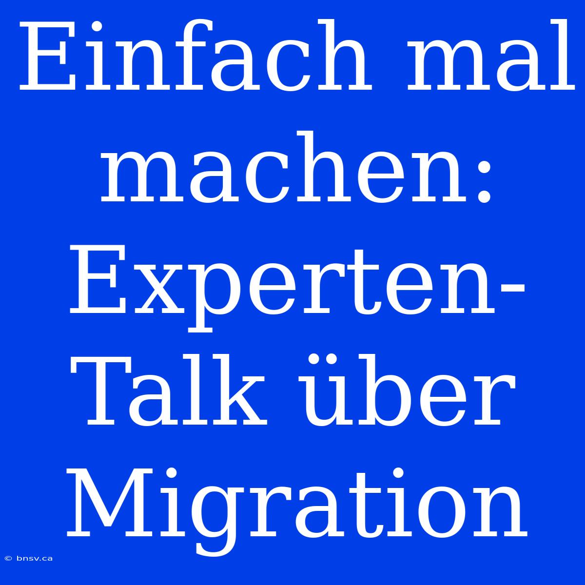 Einfach Mal Machen: Experten-Talk Über Migration