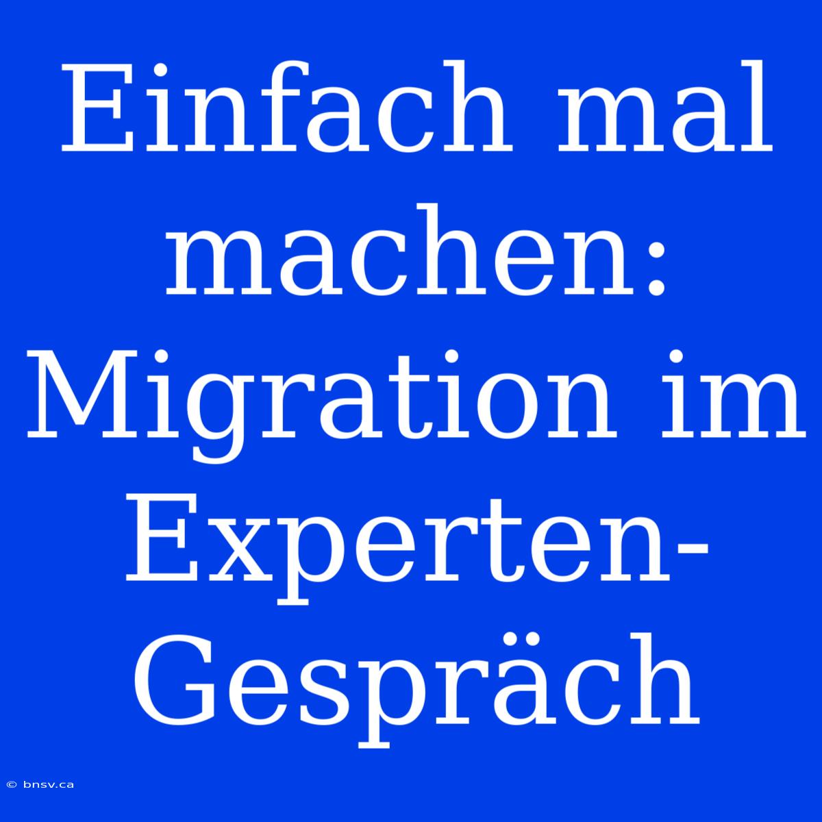 Einfach Mal Machen: Migration Im Experten-Gespräch