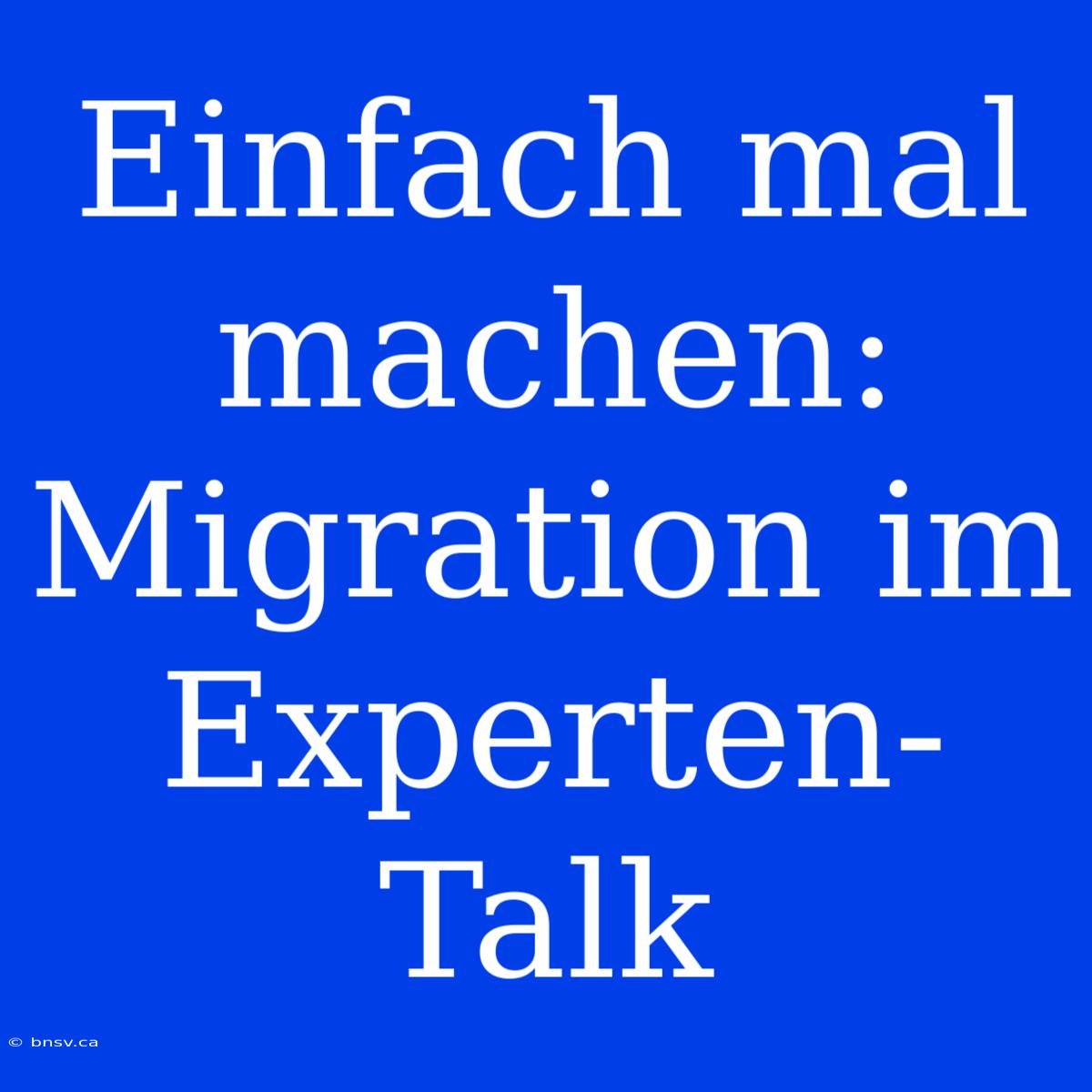 Einfach Mal Machen: Migration Im Experten-Talk