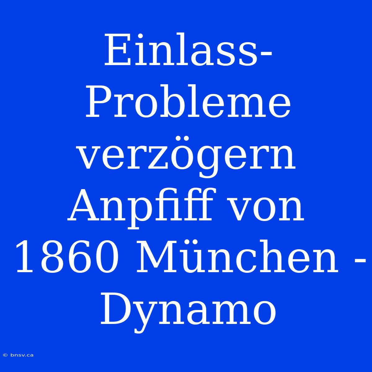 Einlass-Probleme Verzögern Anpfiff Von 1860 München - Dynamo