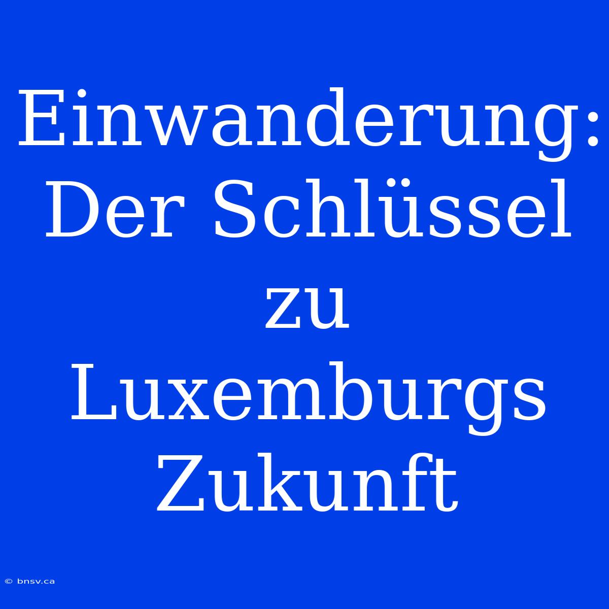 Einwanderung:  Der Schlüssel Zu Luxemburgs Zukunft