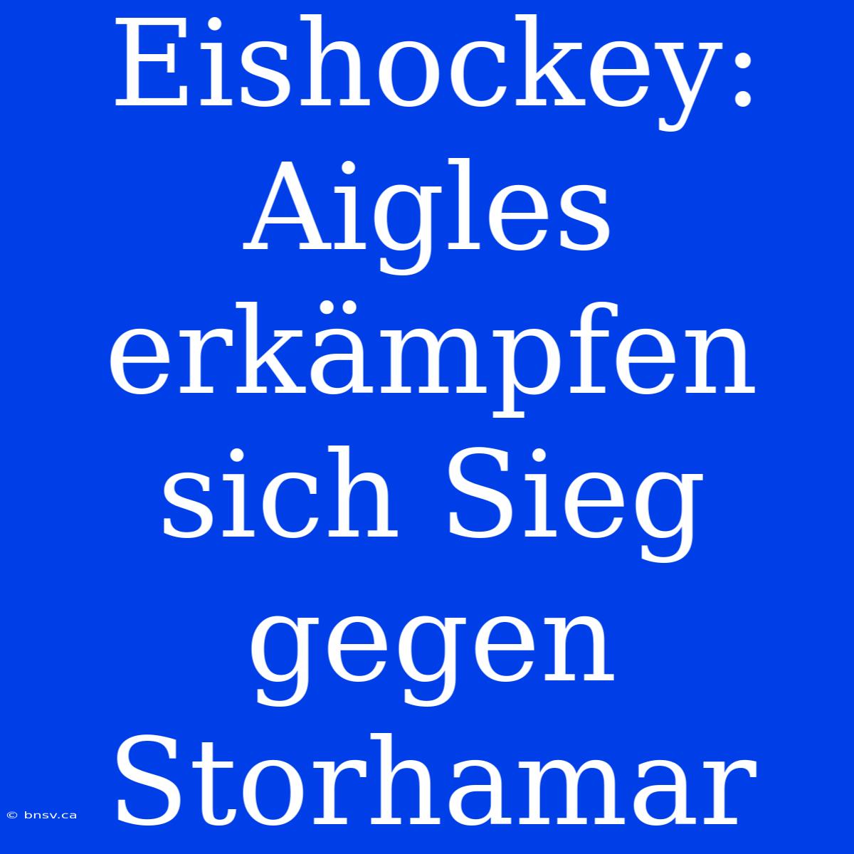 Eishockey: Aigles Erkämpfen Sich Sieg Gegen Storhamar