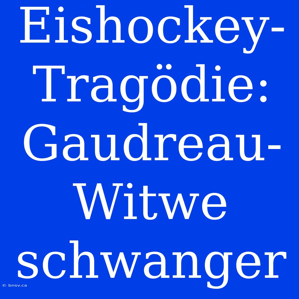 Eishockey-Tragödie: Gaudreau-Witwe Schwanger