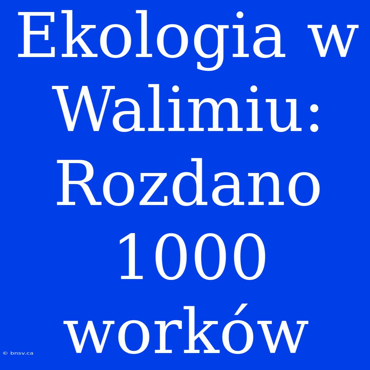 Ekologia W Walimiu: Rozdano 1000 Worków