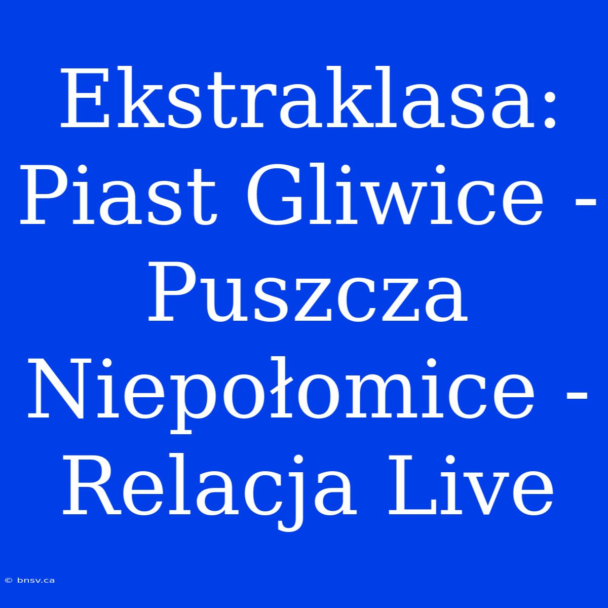 Ekstraklasa: Piast Gliwice - Puszcza Niepołomice - Relacja Live