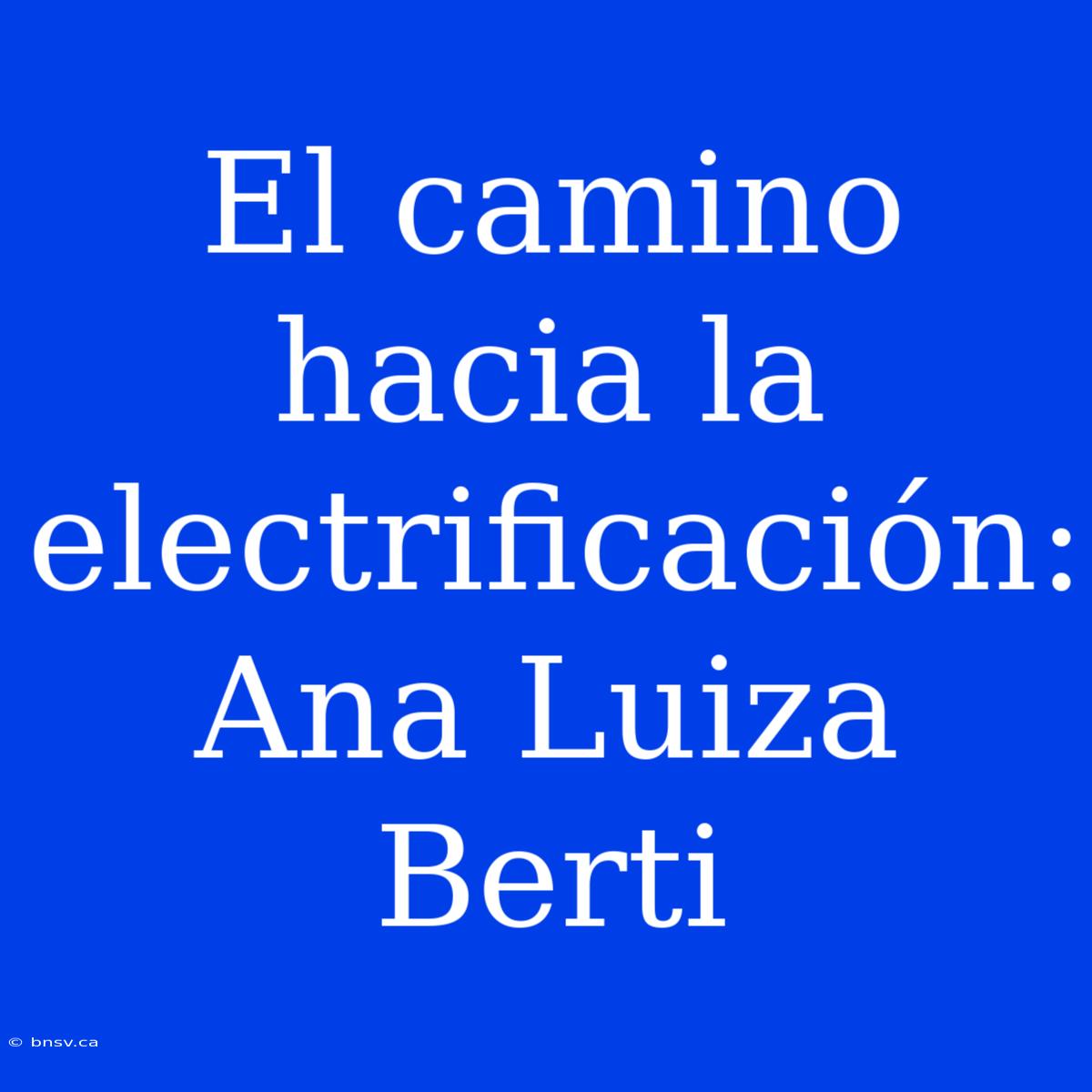 El Camino Hacia La Electrificación: Ana Luiza Berti