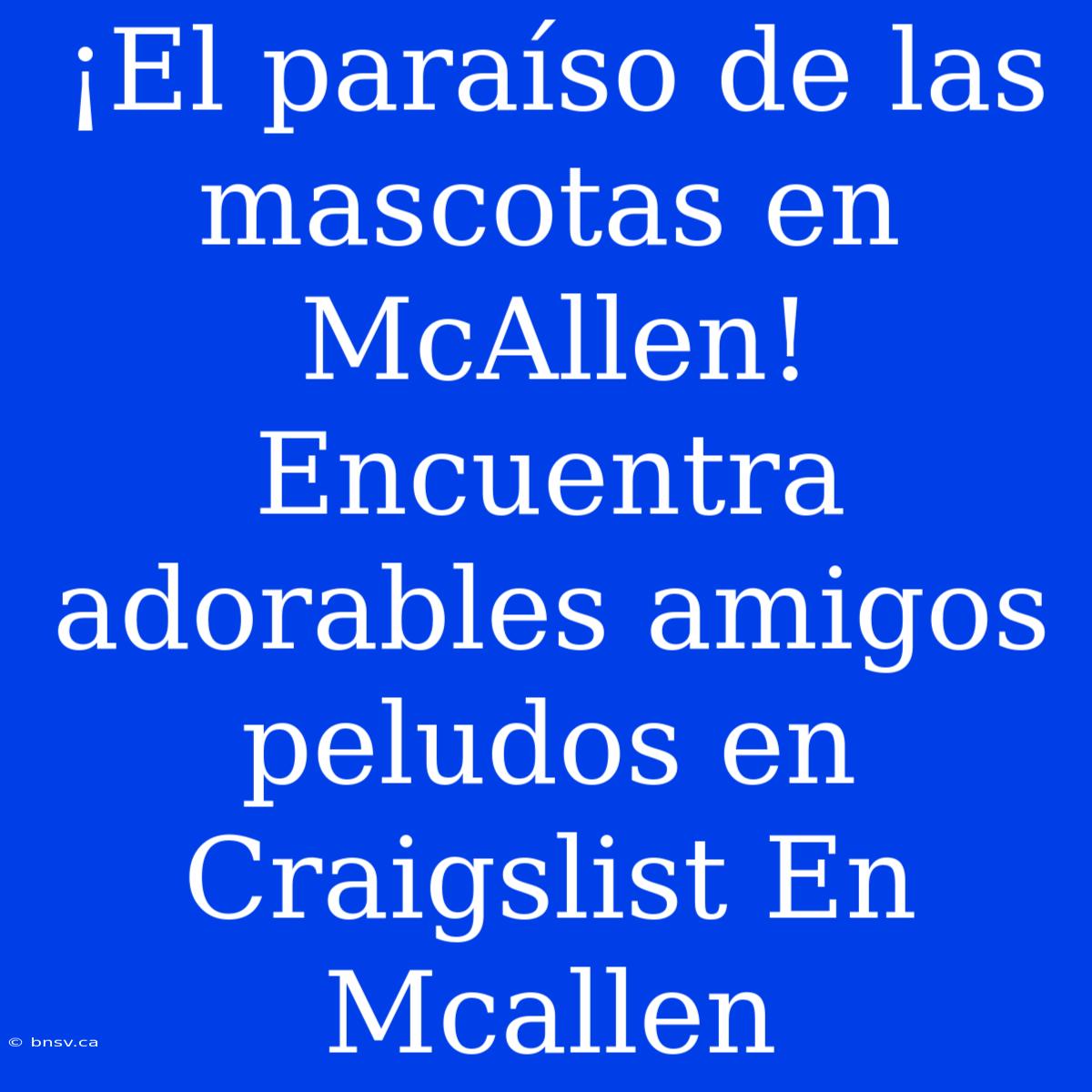 ¡El Paraíso De Las Mascotas En McAllen! Encuentra Adorables Amigos Peludos En Craigslist En Mcallen