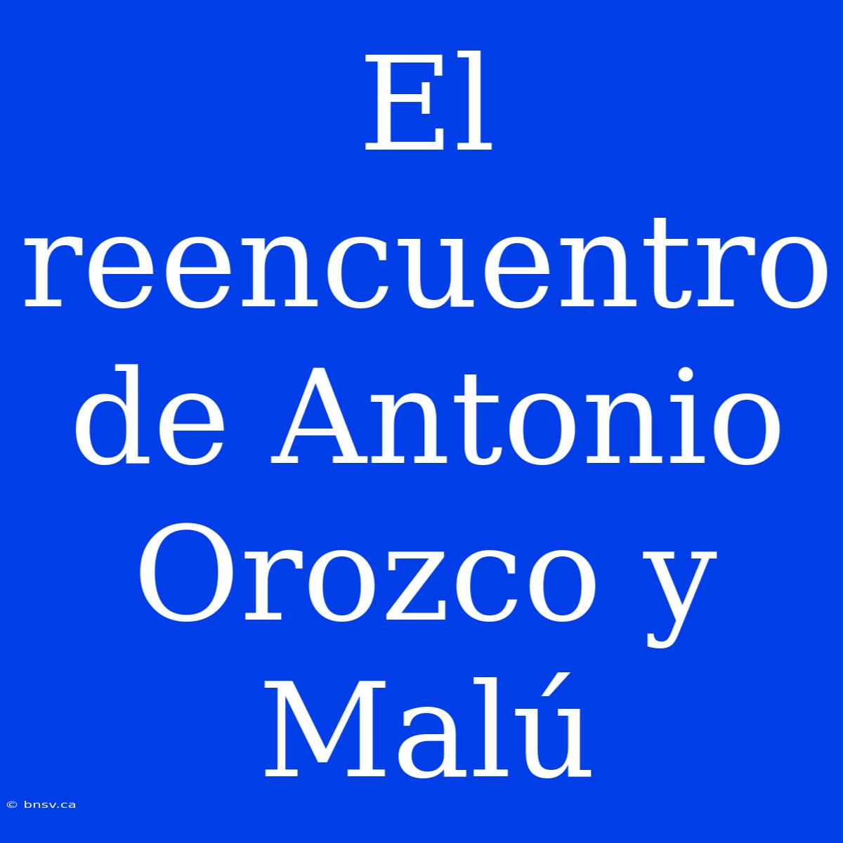 El Reencuentro De Antonio Orozco Y Malú