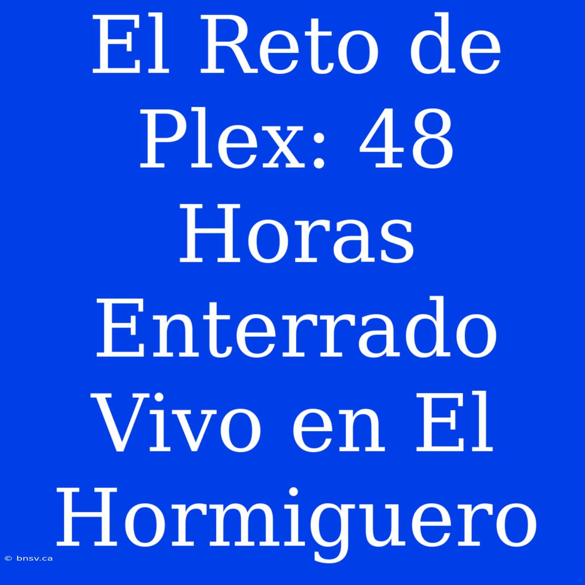 El Reto De Plex: 48 Horas Enterrado Vivo En El Hormiguero