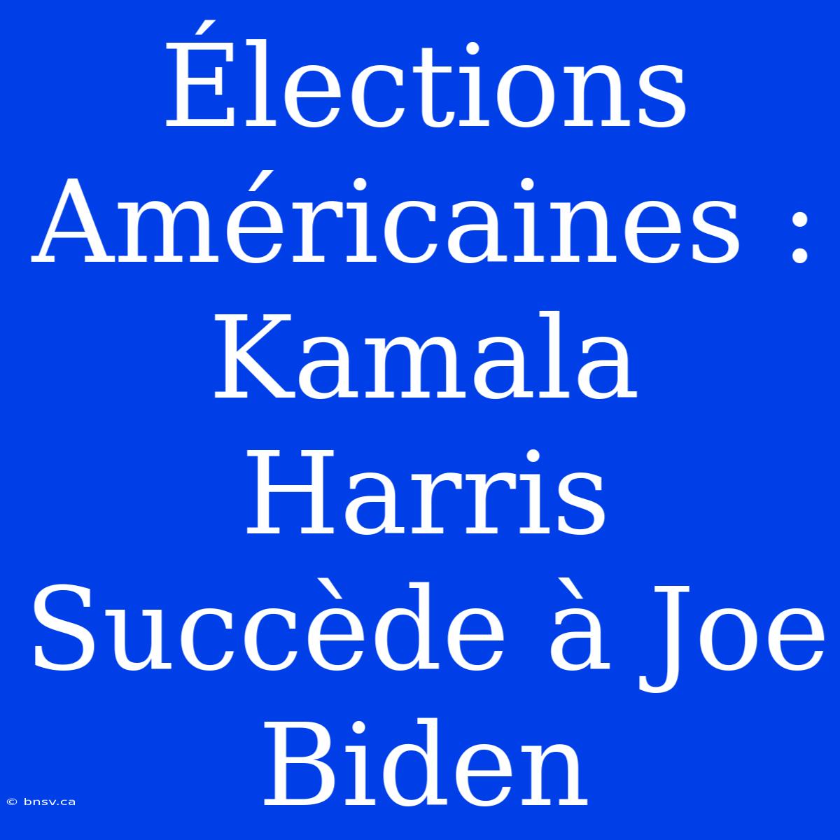 Élections Américaines : Kamala Harris Succède À Joe Biden