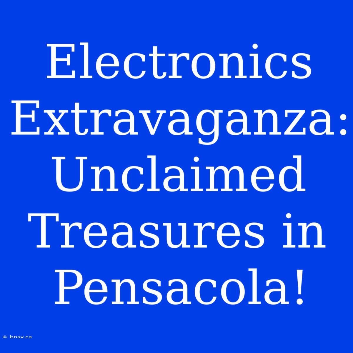 Electronics Extravaganza: Unclaimed Treasures In Pensacola!