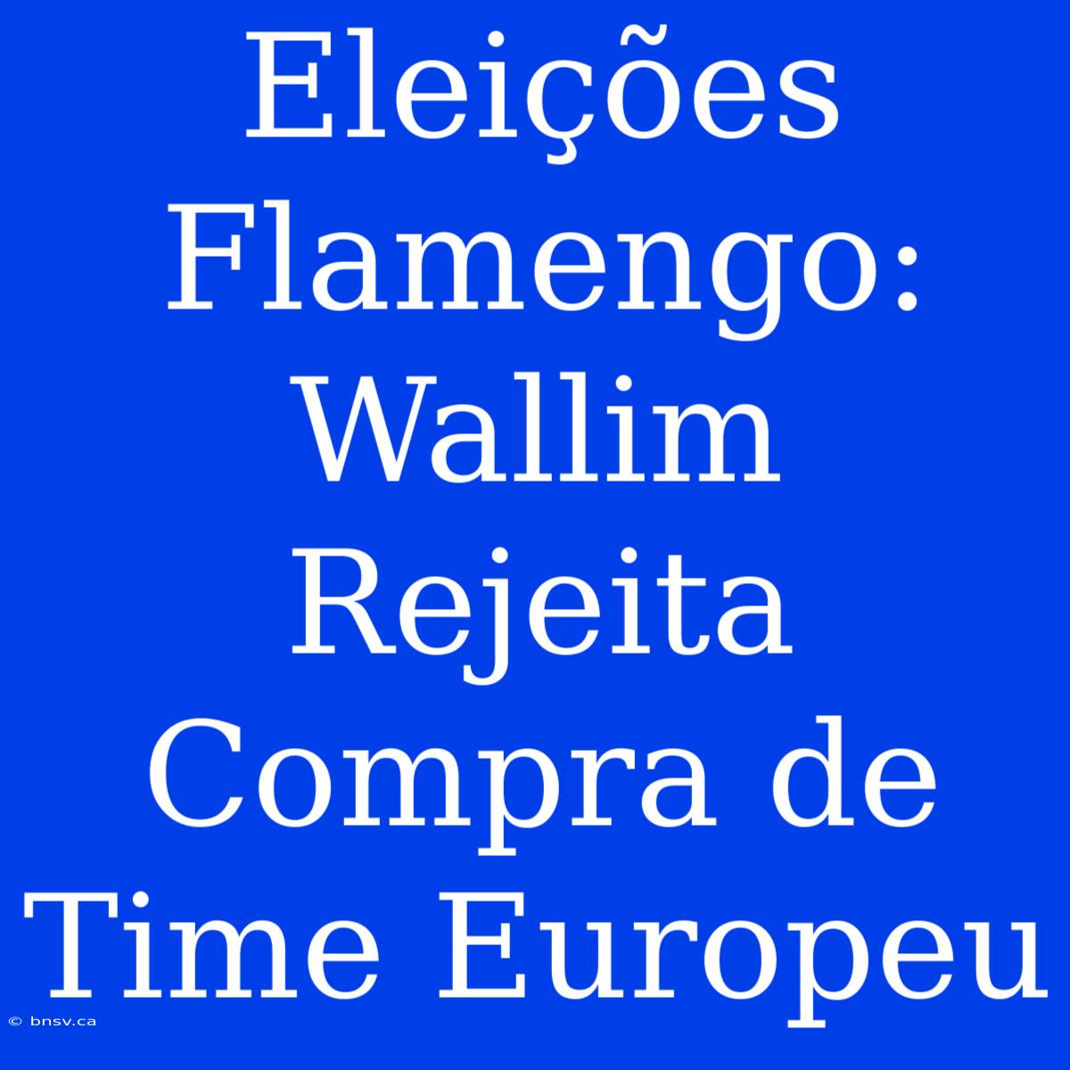 Eleições Flamengo: Wallim Rejeita Compra De Time Europeu