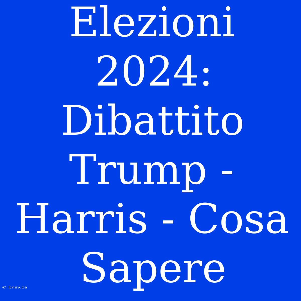 Elezioni 2024: Dibattito Trump - Harris - Cosa Sapere