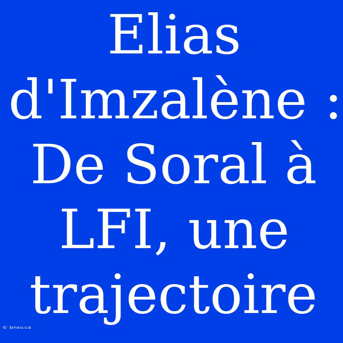 Elias D'Imzalène : De Soral À LFI, Une Trajectoire