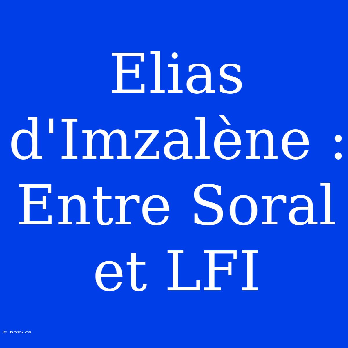 Elias D'Imzalène : Entre Soral Et LFI