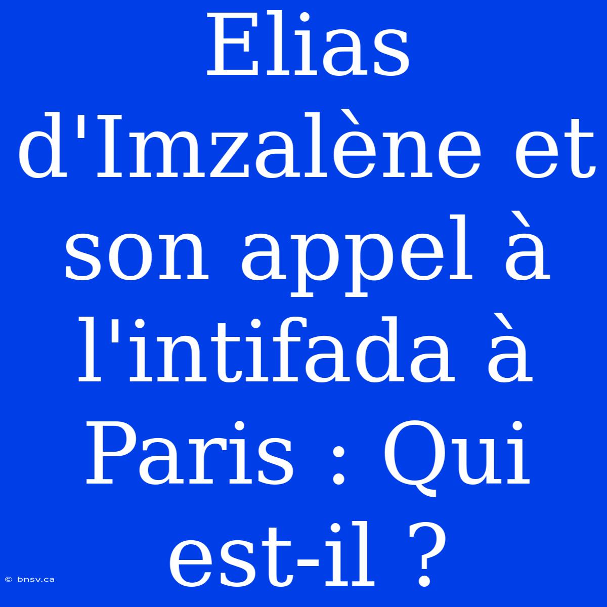 Elias D'Imzalène Et Son Appel À L'intifada À Paris : Qui Est-il ?