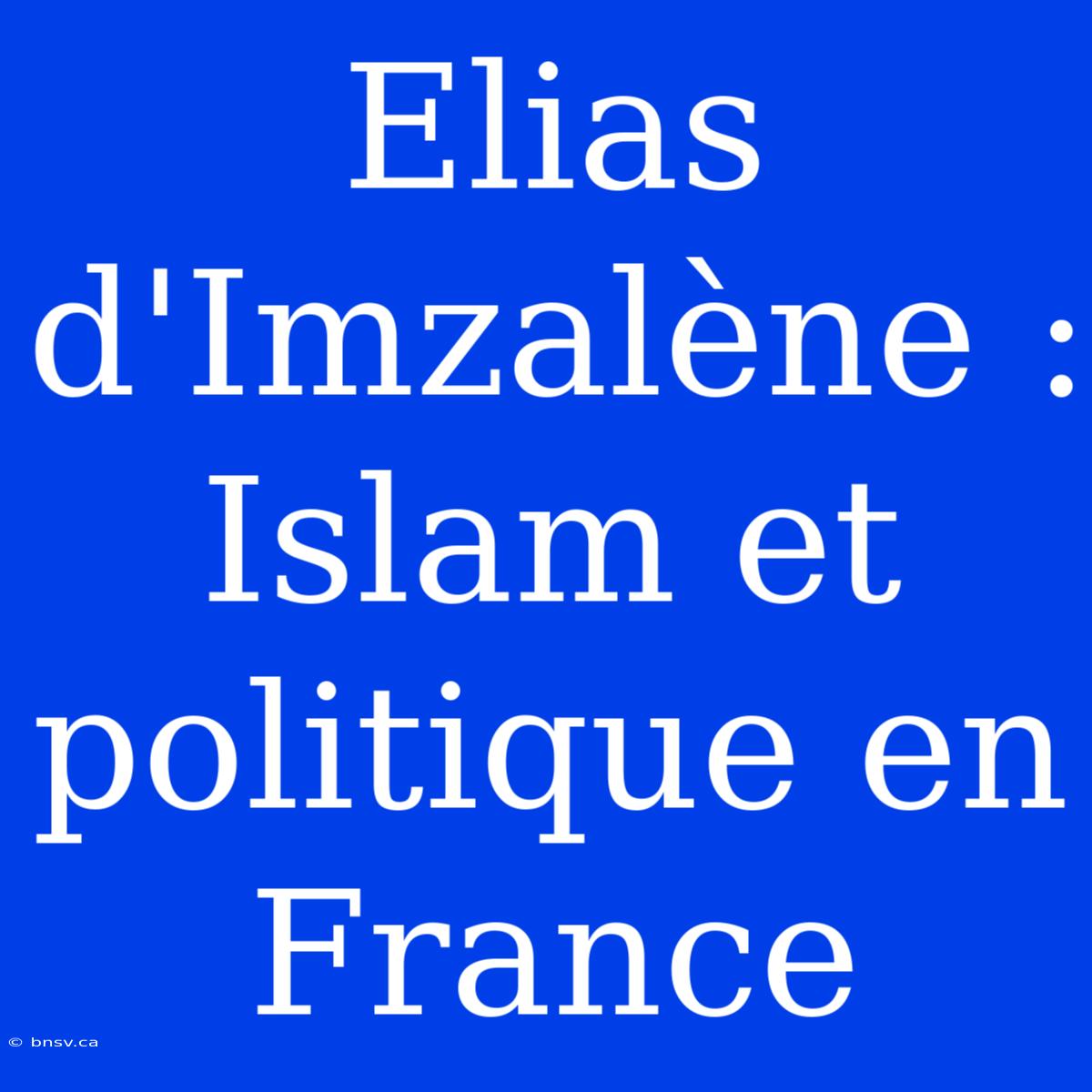 Elias D'Imzalène : Islam Et Politique En France