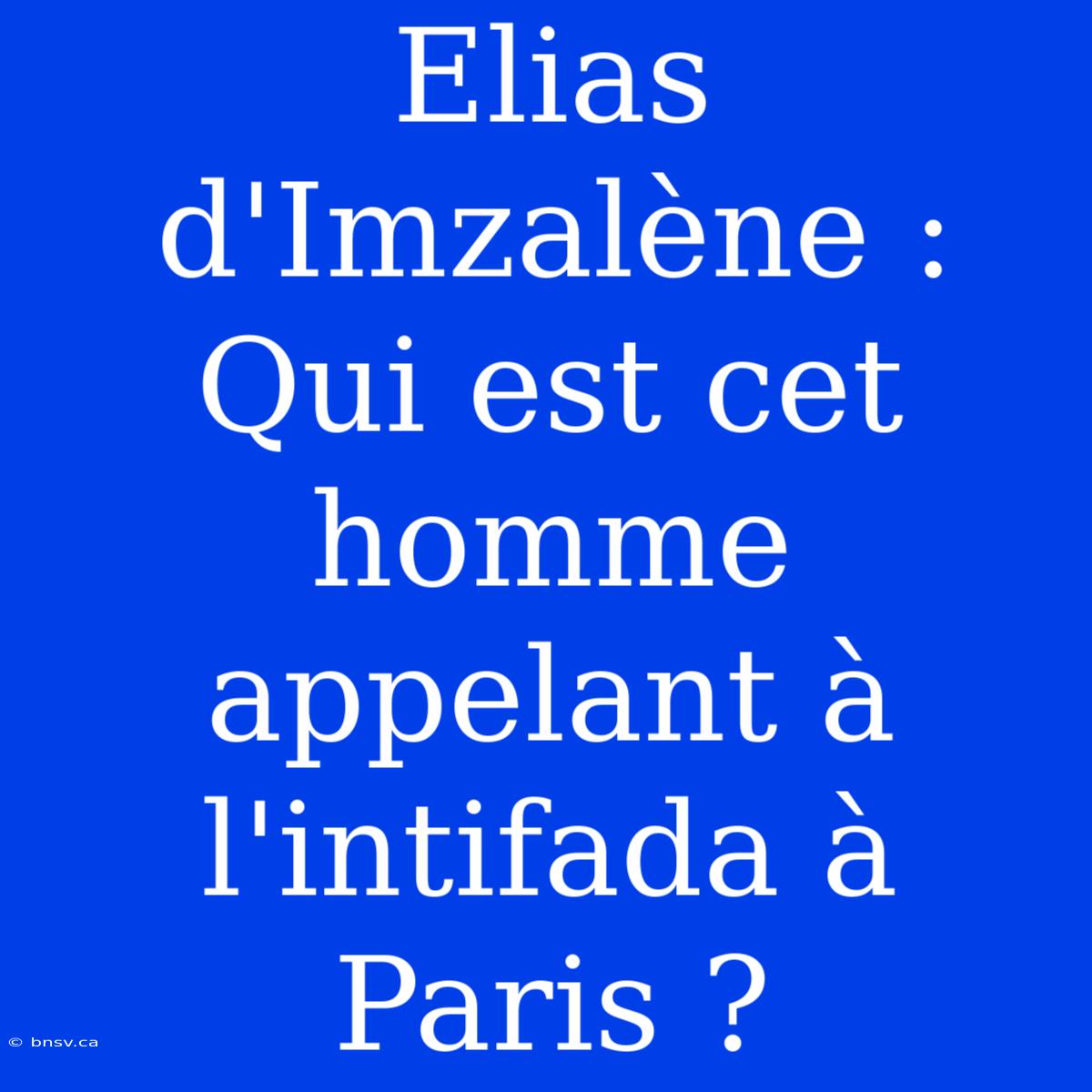 Elias D'Imzalène : Qui Est Cet Homme Appelant À L'intifada À Paris ?