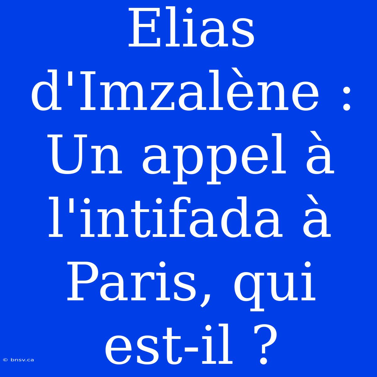 Elias D'Imzalène : Un Appel À L'intifada À Paris, Qui Est-il ?