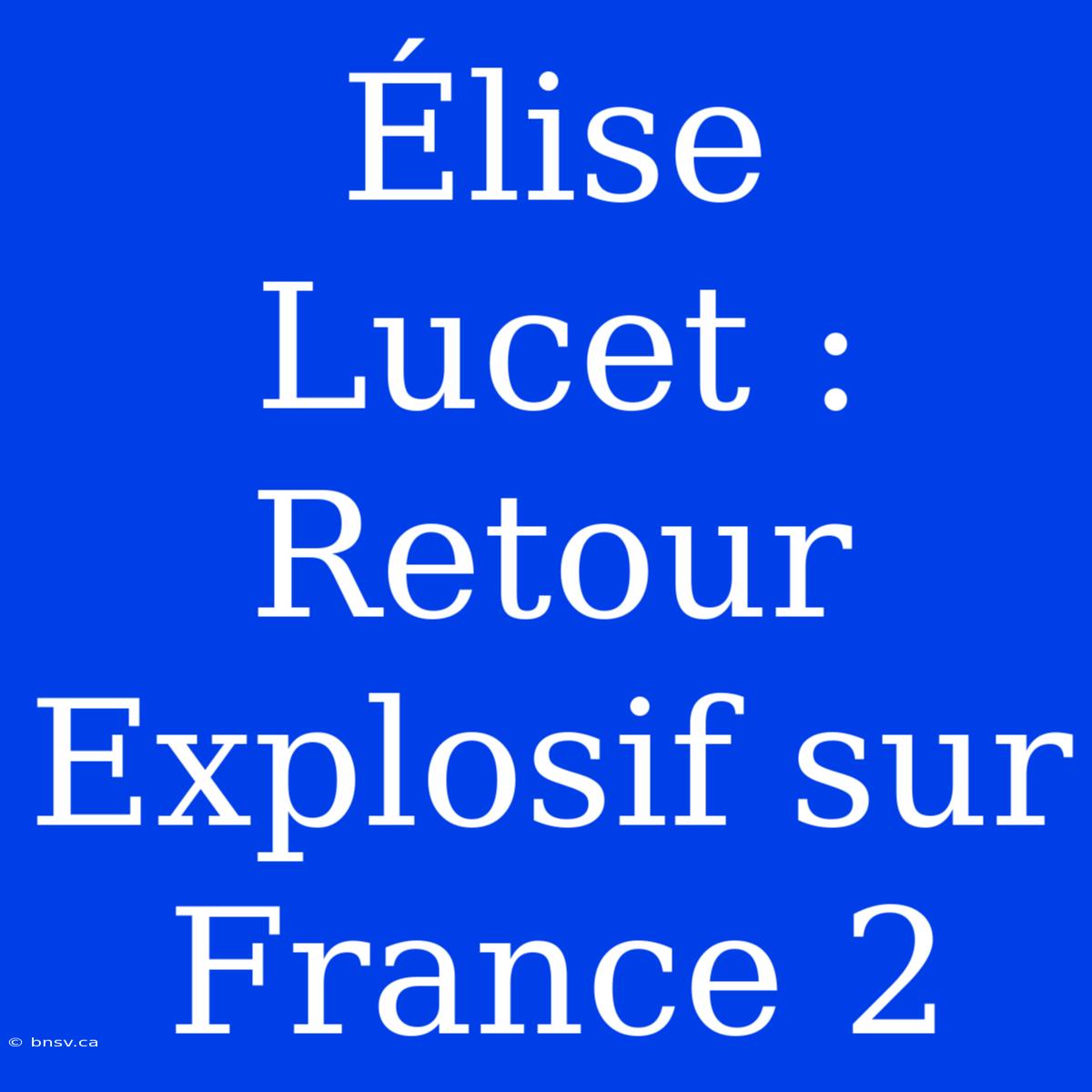 Élise Lucet : Retour Explosif Sur France 2