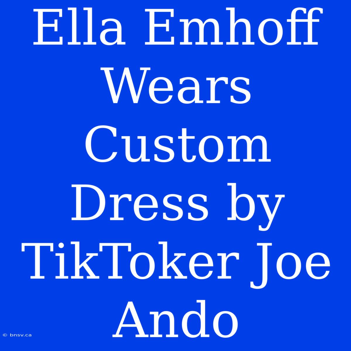 Ella Emhoff Wears Custom Dress By TikToker Joe Ando