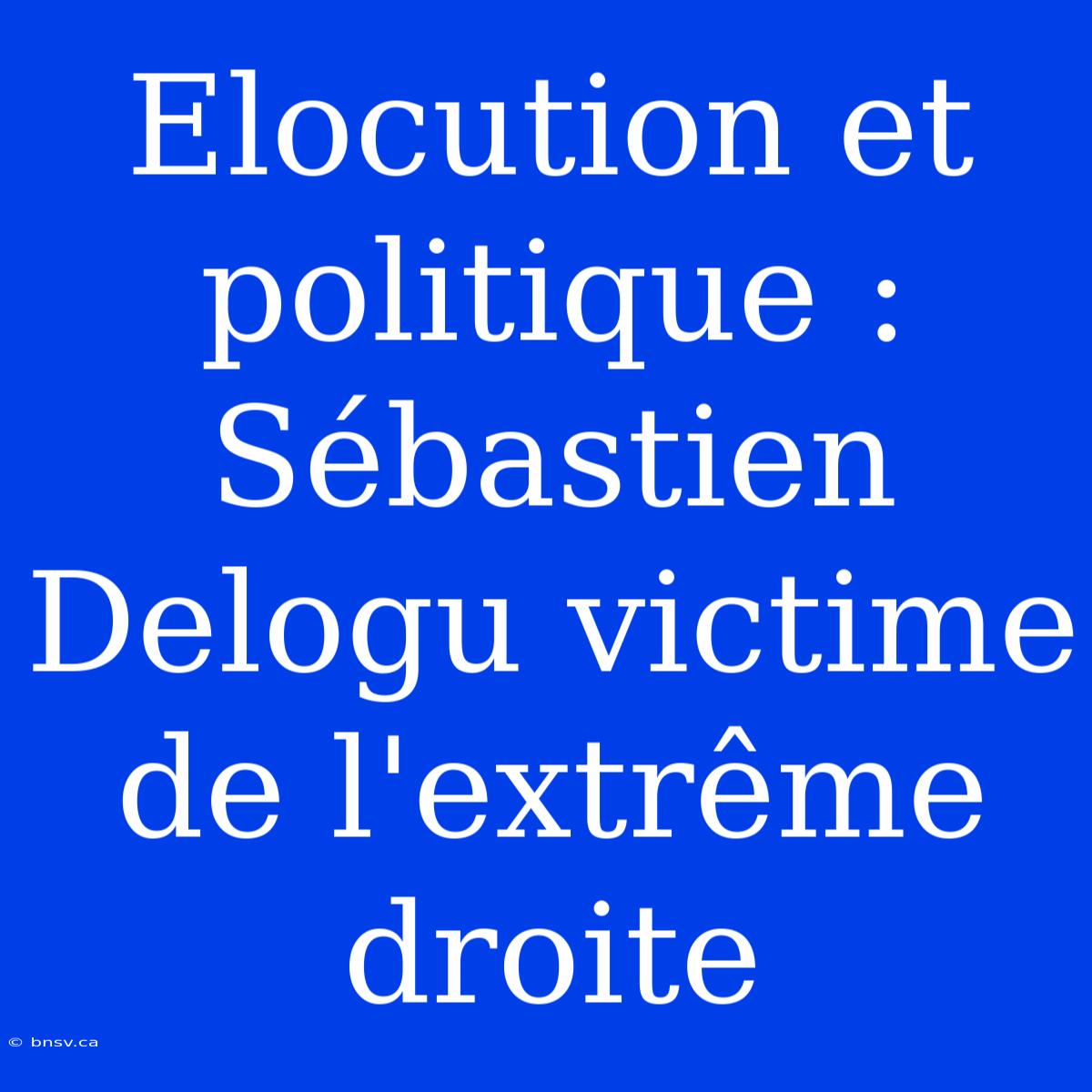 Elocution Et Politique : Sébastien Delogu Victime De L'extrême Droite