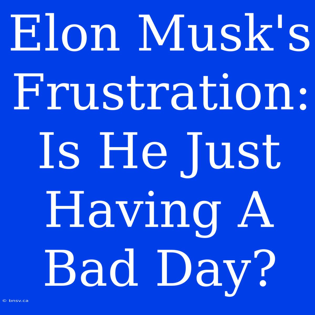 Elon Musk's Frustration: Is He Just Having A Bad Day?