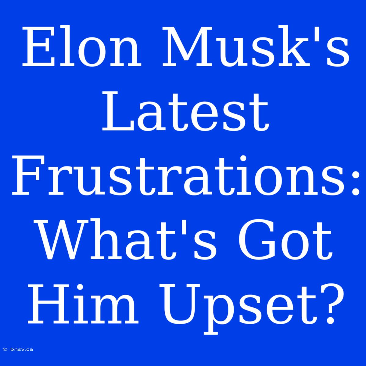 Elon Musk's Latest Frustrations: What's Got Him Upset?