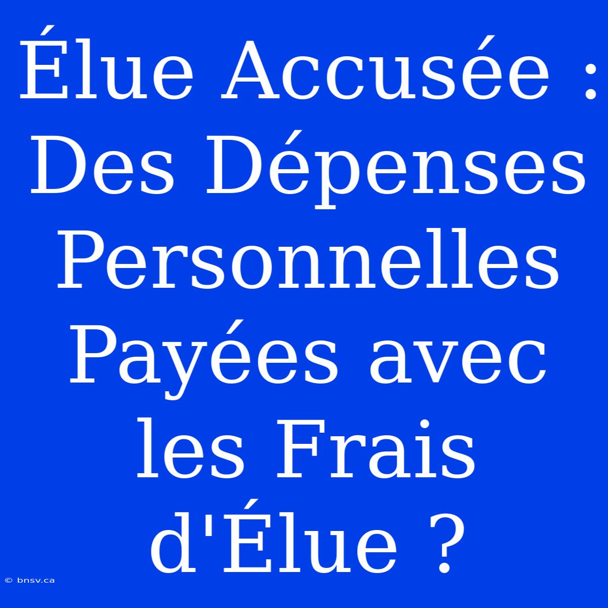 Élue Accusée : Des Dépenses Personnelles Payées Avec Les Frais D'Élue ?