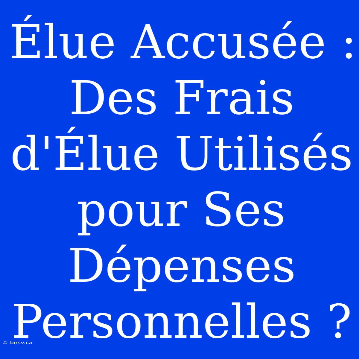 Élue Accusée : Des Frais D'Élue Utilisés Pour Ses Dépenses Personnelles ?