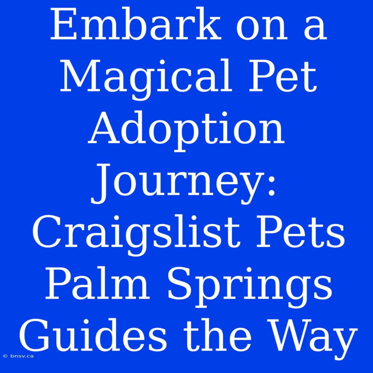 Embark On A Magical Pet Adoption Journey: Craigslist Pets Palm Springs Guides The Way