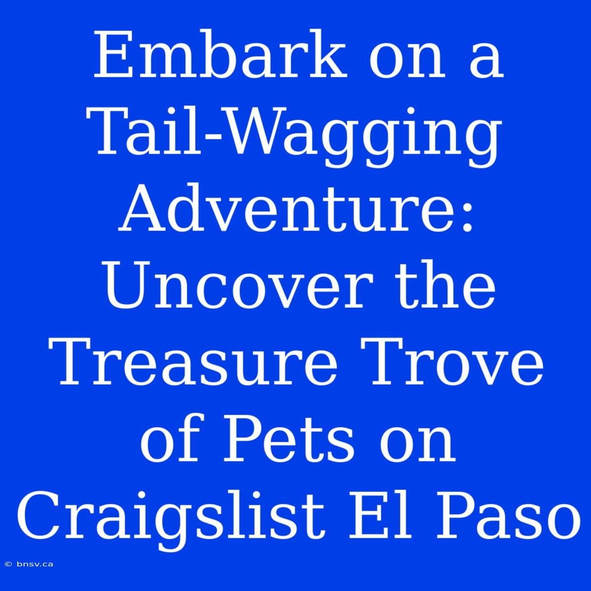 Embark On A Tail-Wagging Adventure: Uncover The Treasure Trove Of Pets On Craigslist El Paso